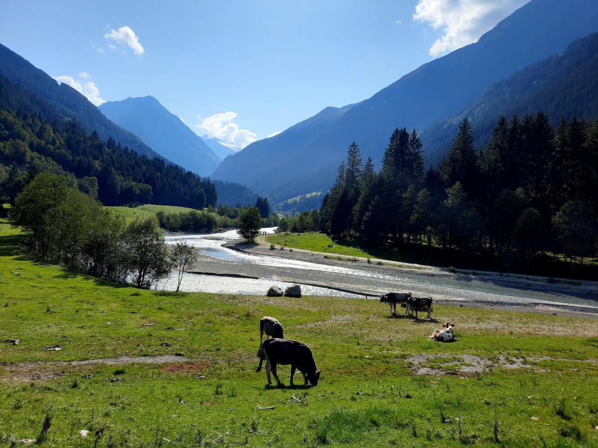 Ferienwohnung Auszeit Stubai Фулпмес Екстериор снимка